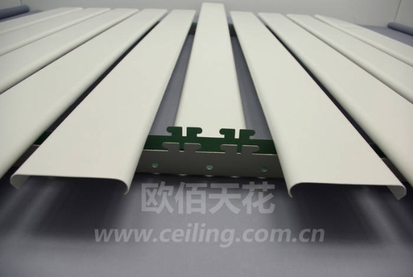 Special Ceiling Series